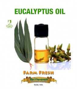 Eucalyptus oil 