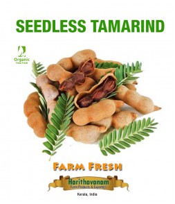Seedless Tamarind